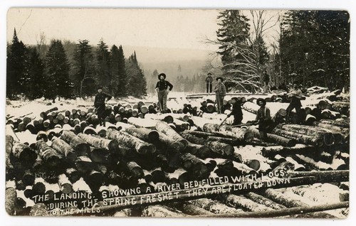 Rppc adirondacks beach - rppc,